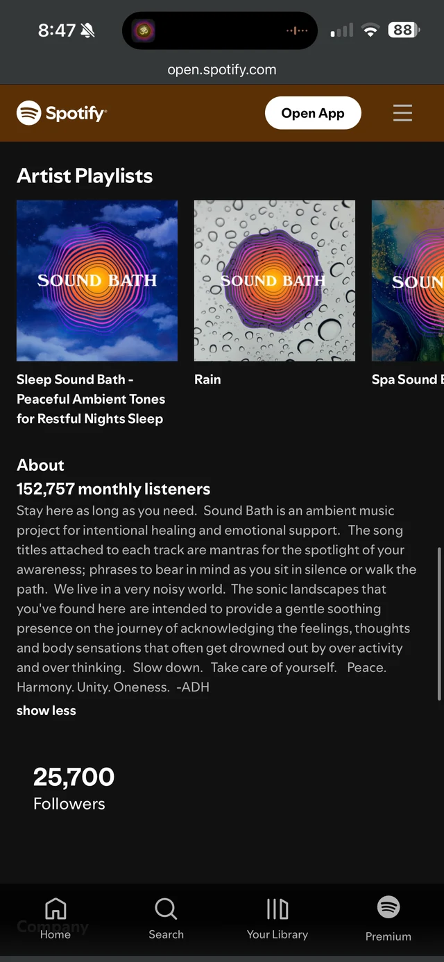 Artist playlists and about